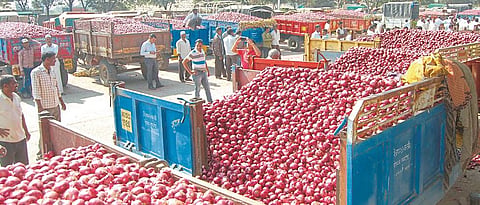 Onion