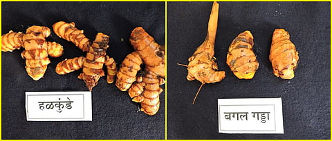 Halkunde and Bagalgadda