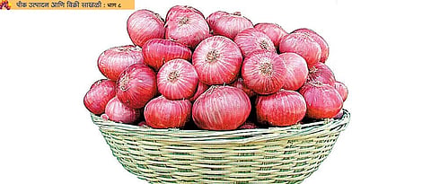The need for onion growing companies