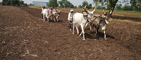 Crop Loan