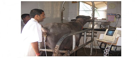 प्रजनन व्यवस्थापनामध्ये अल्ट्रासोनोग्राफी मशिनचा वापर फायदेशीर अाहे.