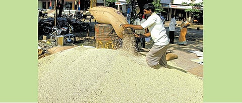 Soybean Market