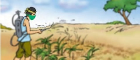 spraying_1.jpg