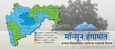 मॉन्सून हंगामात राज्यात १९ टक्के अधिक पाऊस 