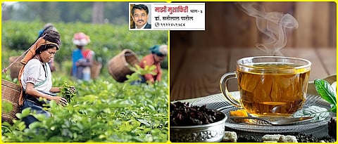  आसामच्या चहाचे चाहते!