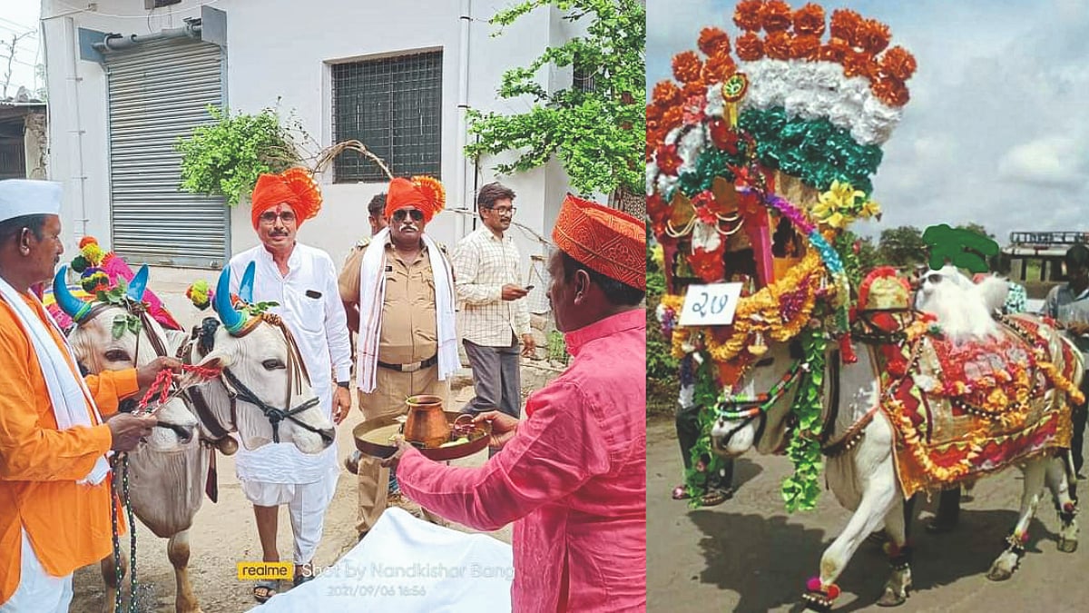 bail-pola-2023-pola-festval-of