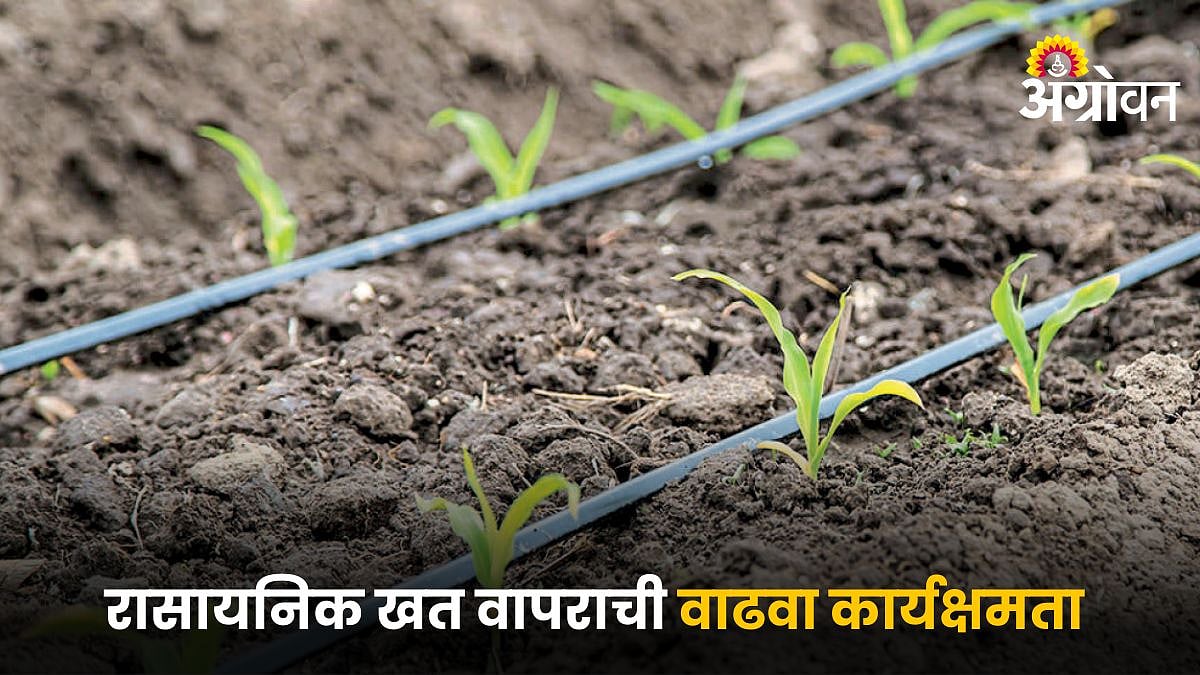 Agriculture Chemical Fertilizes | रासायनिक खत वापराची वाढवा कार्यक्षमता ...