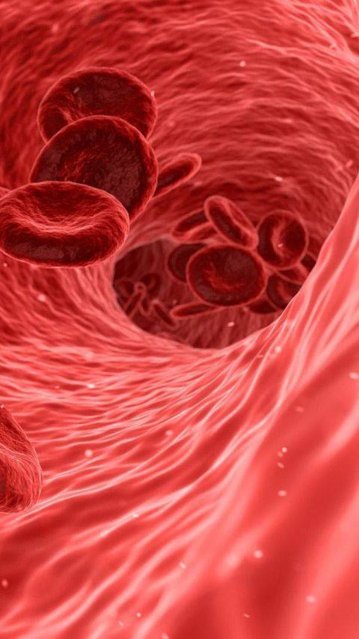 Blood Purifying Foods : रक्तशुद्धीकरणासाठी कोणते पदार्थ फायदेशीर ठरतात ...