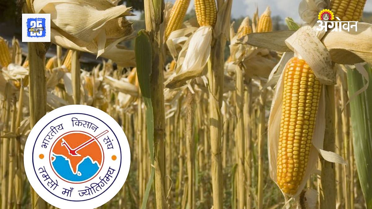 GM Crop Import| जीएम अन्नपदार्थांना लगाम घालण्याची भारतीय किसान संघाची