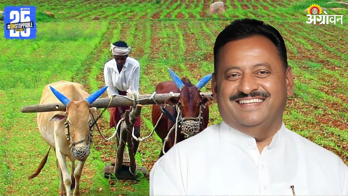शेतकरी कर्जमाफीच्या पहिल्या यादीत अवघ्या ५५३ शेतकऱ्यांना दिलासा; तांत्रिक अडचणींमुळे विलंब: सहकारमंत्री बाबासाहेब पाटील यांची माहिती