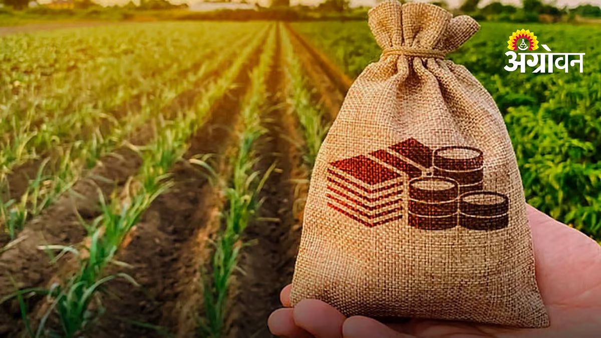Agri News| हिंगोलीच्या बळीराजाला दिलासा? ३३२.३९ कोटींच्या मदत निधीची ...