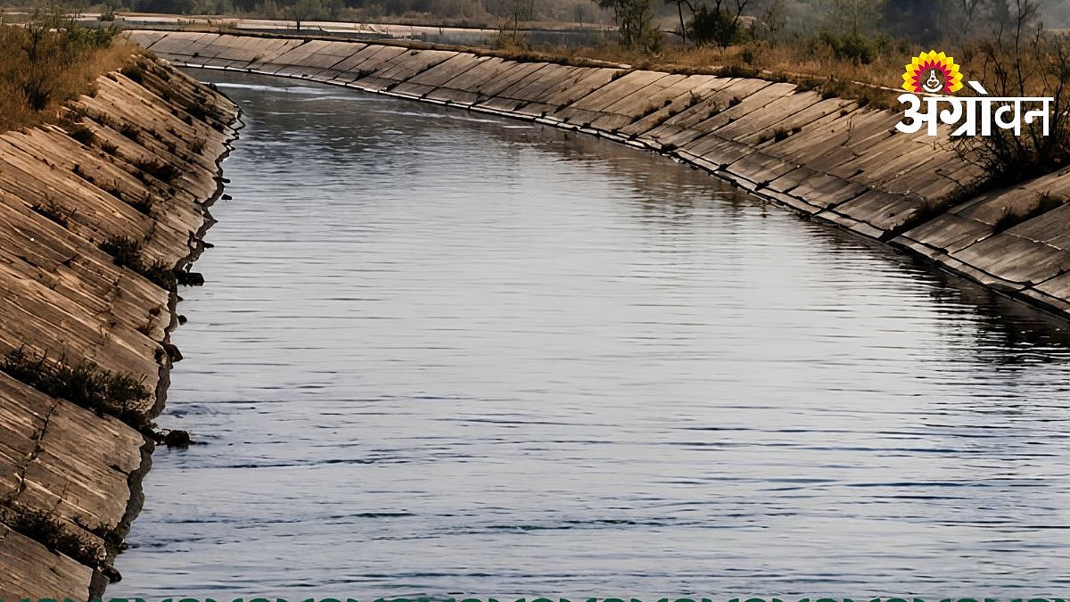 Canal Water Management| शेतकऱ्यांना विश्वासात घेऊनच पाण्याचे आवर्तन ...
