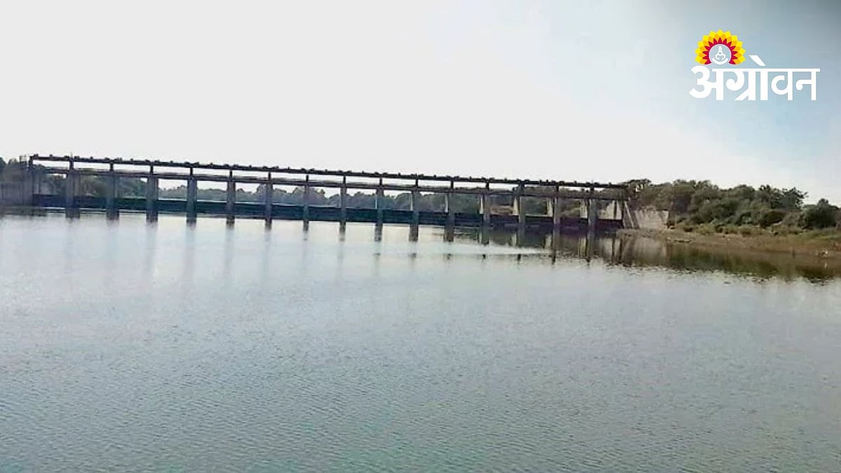 Drought Conditions | खानदेशात जलसाठा ६६ टक्क्यांवर | Khandesh ...
