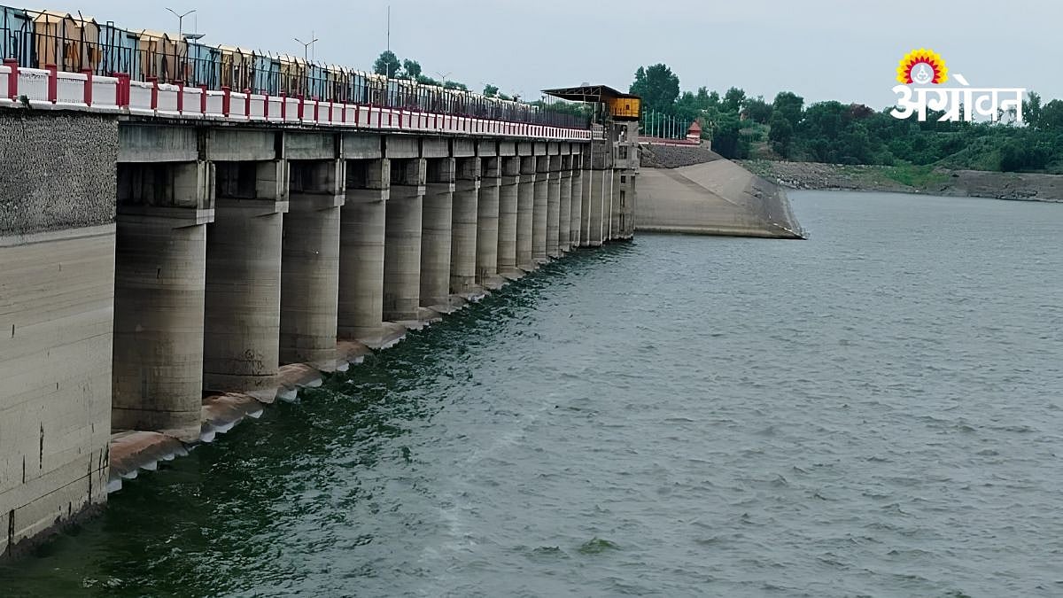 Irrigation Projects Support| गिरणा धरण १०० टक्के भरले; रब्बी हंगामातील ...