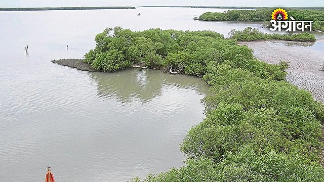 Environmental Protection | पाणथळ सृष्टी व्यवस्थेचे विश्व | The World of ...