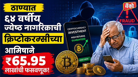 ६५.९५ लाख रुपयांची सायबर फसवणूक