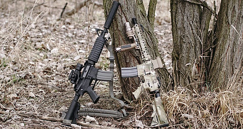 Gun