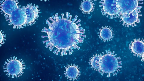 Coronavirus 