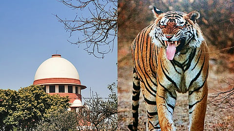 The Supreme Court was dealing with a plea filed by BJP MP Anubhav Mohanty against the use of brutal methods to kill wild animals