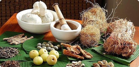 siddh ayurveda ingredients (Representative Image)