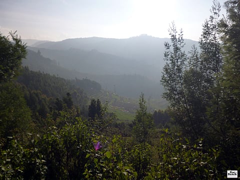 A tough road ahead: Balancing the environment and the economy amid the COVID-19 crisis 