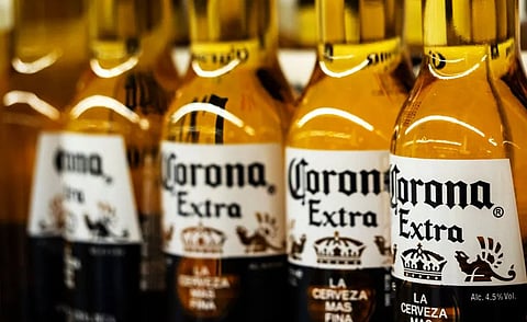  corona beer