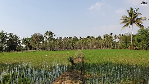 Farmers