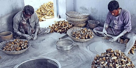 [Firecracker bans] Government should introduce alternative Employment Scheme for those employed in Firework Industries: Madras High Court