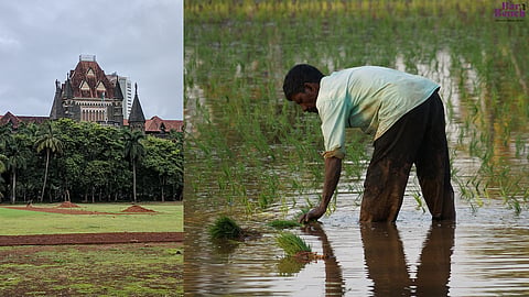 Farmers facing all kinds of problems, system not showing sensitivity towards them: Bombay High Court [Read Order]