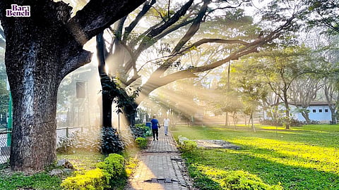 Cubbon Park