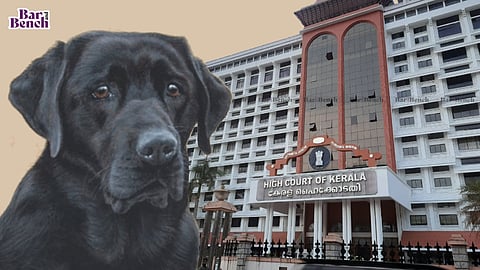  Bruno , Kerala High Court 