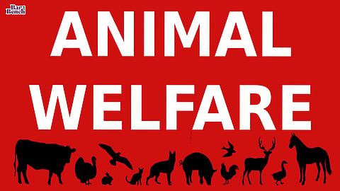 Animal welfare