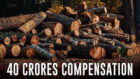 40 Crore compensation
