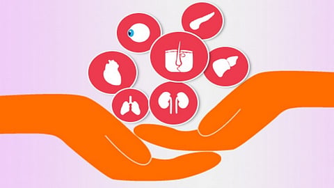 organ donation