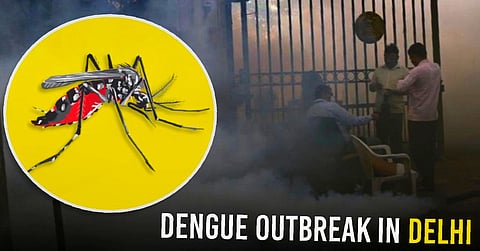 dengue outbreak in delhi