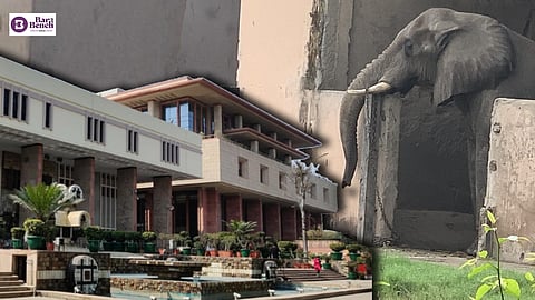 Delhi High court