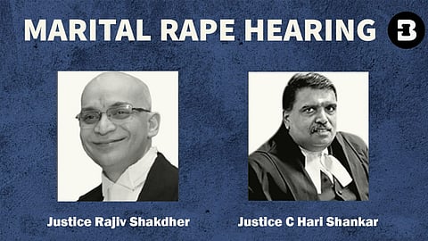 Justice Rajiv Shakdher and Justice C Hari Shankar
