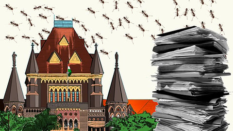 Ants and Bombay High Court