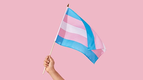 Transgender pride flag