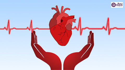 organ donation 