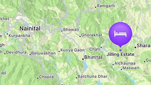 Google Map