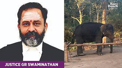 Justice Swaminathan and elephants