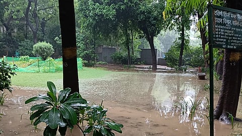 Delhi Rains