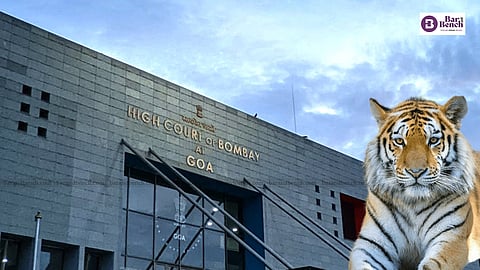 Tiger and Goa Bench of Bombay High Court