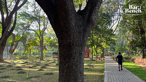 Delhi High Court pulls up DDA over failure to maintain public parks