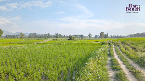 Farmer, agricultural land (For representation only)