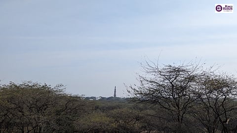 Delhi forests