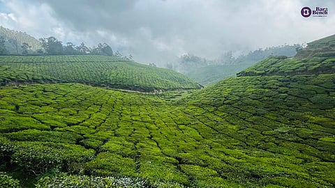 Hill Station - Munnar
