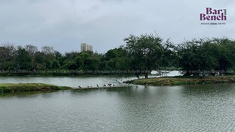 Lake
