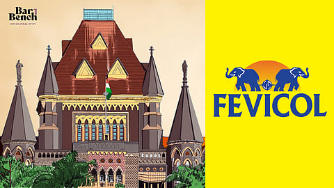 Fevicol 